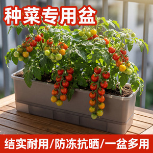 Rectangular Flower Pot Plastic White Gray Self Watering Indoor Outdoor Balcony Plant Container Minimalist Design HF1142 - Product Image 4