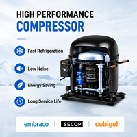 Congélateur vertical professionnel en acier inoxydable haute performance, à température unique, avec contrôle numérique de la température et congélation rapide