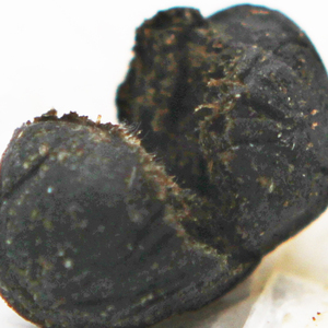 Absinthe supprimer la turbidité et l'humidité nombril Patch 30 pièces/boîte Detox perte de poids pilule minceur Patch - Product Image 5