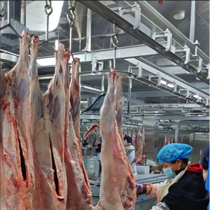 Schafs ch lacht hof Erwachsene Schafs ch lacht maschine für Ziegen schlachthof ausrüstung - Product Image 1