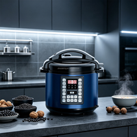Cuisinière à pression électrique 6L 1000W 220V en acier inoxydable, multicuiseur numérique 10-en-1 avec minuterie 24H CE