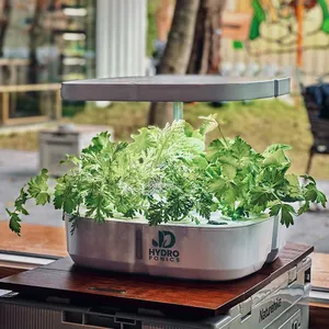 Sistema de cultivo hidropônico para jardim interno, temporizador embutido para cozinha, ervas, plantadores com luz LED e sensor, por atacado