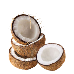 Agricultura al por mayor Para coco seco 100% coco natural seco proveedor personalización embalaje fabricación desde Vietnam - Product Image 3