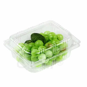 Custom Recyclable <b>Black</b> Blue Clear Color Mushroom Agriculture Use PET Plastic Clamshell Blister <b>Tray</b> - Product Image 4