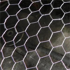 <span class=keywords><strong>Grillage</strong></span> hexagonal de haute qualité, durable et robuste - Product Image 2