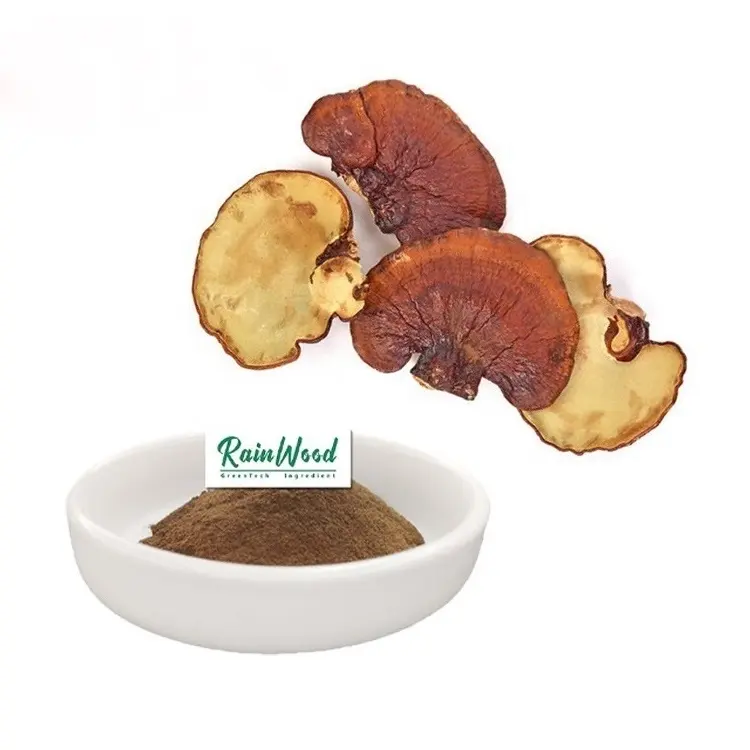 Pasokan pabrik Reishi ekstrak Jamur polysacchardes 40% Reishi ekstrak Jamur bubuk