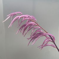 Plantes artificielles à longues tiges très vendues pour mariage, amarante décorative en plastique pour arrangements floraux de mariage, de fête et de maison