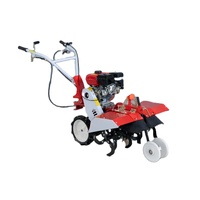 Motoculteur Rotatif Compact 170F 177F à Essence, Mini-Cultivateur Agricole, Mini-Machine à Labourer pour Ferme 7.5hp 9hp