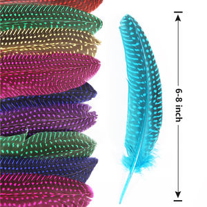 Coloré guinée AILE Plumage Couleur Mixte pour Chapeau Vêtements Accessoire Conception Décoration Fête De Mariage Célébration Choses - Product Image 4