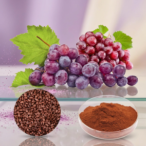 Fabricant de poudre d'extrait de raisin, poudre d'extrait de raisin de haute pureté, fournisseur en gros de poudre d'extrait de raisin - Product Image 1