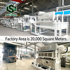 WONGS-Bandejas de papel para ovos com equipamentos para produção de bandejas à base de papel para a indústria avícola - Product Image 4