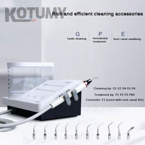 Instrumentos dentales Blanqueamiento de dientes Punta de pieza de mano eléctrica Limpieza portátil Escarificador dental ultrasónico piezoeléctrico para perros Veterinario - Product Image 4