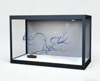 Vitrine transparente blanche YINGTOUCH de 55 pouces, anti-poussière, anti-humidité, pour le rangement de trophées dans le salon, verticale, usage commercial