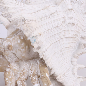 Uedeco优雅的沿海风格艺术装饰树脂海洋生物雕像为家庭航海展示设置鲸鱼和寄居蟹形状 - Product Image 5