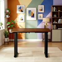 Bureau assis-debout électrique à quatre pieds D-6DU2, double moteur, hauteur réglable en 2 étapes, station de travail avec mémoire, pour la maison et le bureau