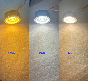 Módulo LED Benory 24v Dual White Mr16 Cob Spot Compatible con PWM DALI KNX DMX Loxone <span class=keywords><strong>Homematic</strong></span> Dresden Electronics CRI95 Blanco Ajustable - Product Image 4