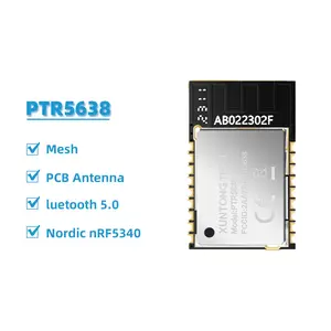 Piccolo protocollo nRF52832 2.4GHz Mesh BLE 5 modulo Bluetooth IoT a basso consumo energetico