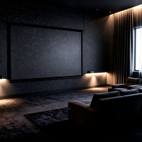 Peinture décorative murale extérieure écologique en acrylique velours scintillant VALIDEA Starry Shimmer, application par pulvérisation et revêtement liquide