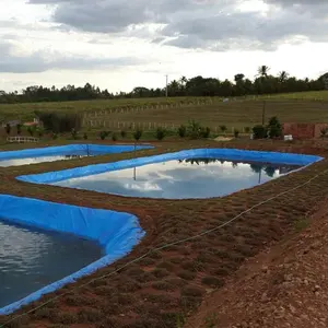 Blu Fish Pond Liner 1 millimetri Durevole di Plastica HDPE Geomembrane Prezzo per L'allevamento di Pesci Stagno