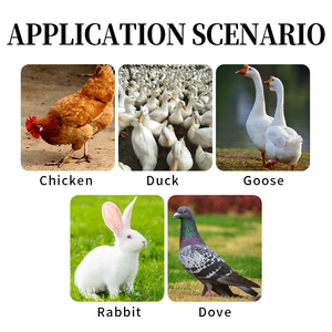 Antiviral Poultry <strong>Feed</strong> <strong>Additives</strong> for Chicken Reduce Mortality &amp; Improve Treatment of Poultry <strong>Feed</strong> - Product Image 5
