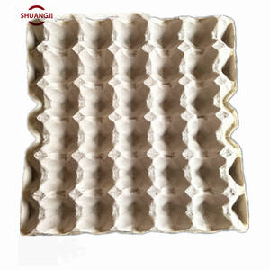 स्वत: अंडे की ट्रे उत्पादन लाइन - Product Image 1