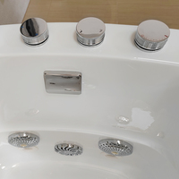 Baignoires de toilettage pour animaux de compagnie en acrylique, lumière LED, spa, baignoire à bulles d'air, baignoire à ozone