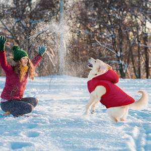 Fleece Lined Warm <b>Dog</b> Jacket Warm <b>Dog</b> <b>Hoodie</b> Puppy Coats with Hooded Cold Weather Pet Apparel Clothes <b>for</b> Puppy - Product Image 2