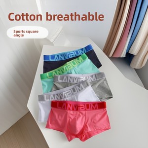 ODM Wholesale <strong>Men's</strong> Cotton Mid-rise Knitted Breathable Sports Boxer Briefs Sexy Trendy Korean Style - Product Image 5