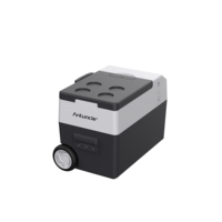 Mini-réfrigérateur/congélateur portable 12V pour voiture, 30/40/50L, personnalisé, pour voyages et camping