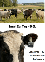 Etiqueta de Rastreo GPS Lorawan Resistente al Agua para Ganado, Rastreador GPS para Ganado, Ovejas y Soluciones de Gestión de Granjas de Animales