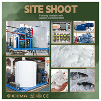 ICEMA Factory – Machine de fabrication de flocons de glace, 20 tonnes par jour, pour la pêche aux fruits de mer frais