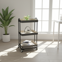 Table basse noire en bois et acier inoxydable, design moderne doré, avec rangement latéral, personnalisable, livraison rapide, pour commandes en gros, décorative