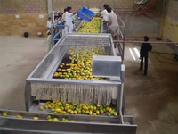 Geconcentreerde mangosap drankenproductie pasteurisator natuurlijke mangopulp verwerkingsinstallatie productielijn automatisch 304 roestvrij staal
