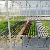 Chaînes NFT dans le système hydroponique vertical pour la culture de légumes