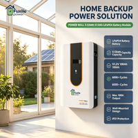 Batterie murale LiFePO4 51,2 V 100 Ah 5,12 kWh, 6000 cycles minimum, sortie max 100 A, design mural peu encombrant pour usage résidentiel