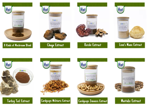 AOGUBIO Supplément <span class=keywords><strong>AHCC</strong></span> Poudre de Champignon en Vrac <span class=keywords><strong>Shiitake</strong></span> Halal HACCP Certifié Biologique Extrait de Lentinus Edodes - Product Image 5