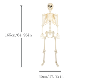Esqueleto de Halloween, esqueleto humano, simulación de hueso humano, cosquillas, casa embrujada, accesorios de decoración para fiestas, esqueleto de terror - Product Image 2