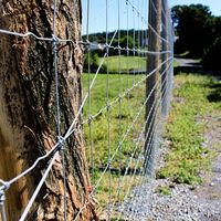 Malla de alambre galvanizado de alta resistencia con nudo fijo para cercas de campo, granjas, ranchos, ganado, cerdos, cabras, ovejas y pastos.