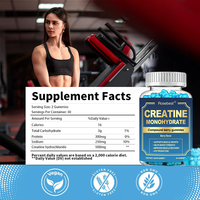 Gomitas de Creatina Hidrocloruro Vegana con Sabor a Bayas Naturales, 500 mg, Certificadas por GMP, Marca Privada, Suplemento Deportivo para Gimnasio
