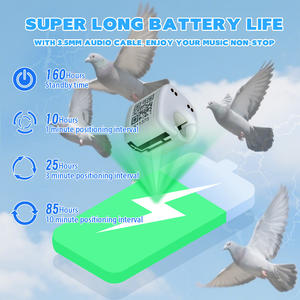 Mini traceur GPS en temps réel pour oiseaux, étanche, bague de course pour pigeons, perroquet, <span class=keywords><strong>aigle</strong></span>, puce de suivi GPS 4G, bague de pied pour oiseaux - Product Image 6