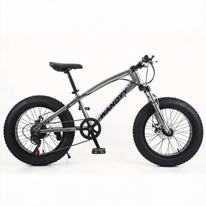 Bicicleta de Montaña WANDYY con Llantas Gruesas de 20, 24 y 26 Pulgadas, Bicicleta para Nieve y Playa 4.0 - Product Image 5