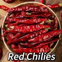 Piments rouges séchés naturellement de haute qualité de la marque Zhongbotang, provenant de la province du Hunan, vente en gros pour épices, plats mijotés et hot pot