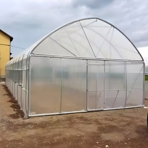 Nuovo Arrivo: Serra a Tunnel Monocampata in PE, Facile da Installare, Prezzo Economico per Coltivatori - Product Image 3