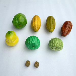 Decorazione di frutta e verdura modello di frutta cacao artificiale - Product Image 1