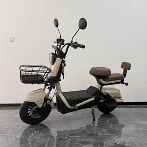 Motor para Bicicleta de 48V para Batería con Pedales, Velocidad Única, 250W, Envío Gratis, 1500W, Precio Chino Rápido, Bicicleta Eléctrica de 6000W - Product Image 6