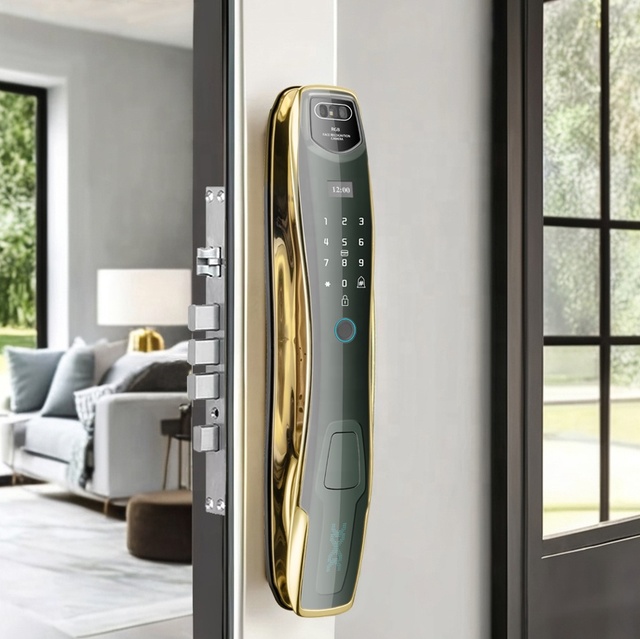 Low Price Smart Home Door Lock with Tuya Control Keyless Entry & Fingerprint Reader WiFi Network Safe Door with Camera Wood Door
