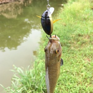 Diseño de escarabajo Señuelo de pesca de insectos Cebo duro 3,5 cm 4G Señuelos de pesca de superficie Bass Señuelo perfecto para huelgas agresivas - Product Image 5