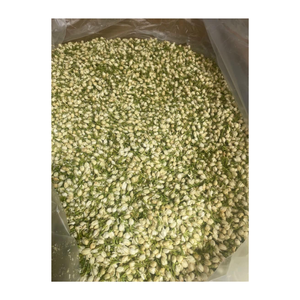 ดอกมะลิแห้งเกรดพรีเมียมจากเวียดนาม สำหรับชงชาสมุนไพรและชาลดน้ำหนัก - Product Image 6