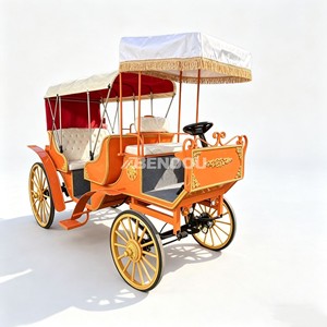 Charrette/Calèche/Chariot Électrique de Luxe de Style Européen pour Mariages et Visites Touristiques - Product Image 6