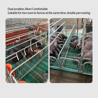 Cage de maternité double position galvanisée à chaud 2-en-1 pour truies, équipement d'élevage porcin